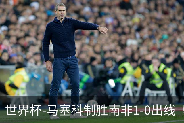 世界杯-马塞科制胜南非1-0出线 韩国积3分获小组第三待定