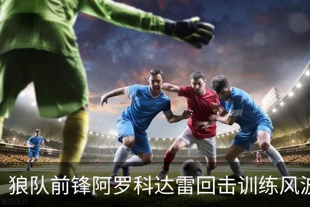 狼队前锋阿罗科达雷回击训练风波，称自己守职业标准