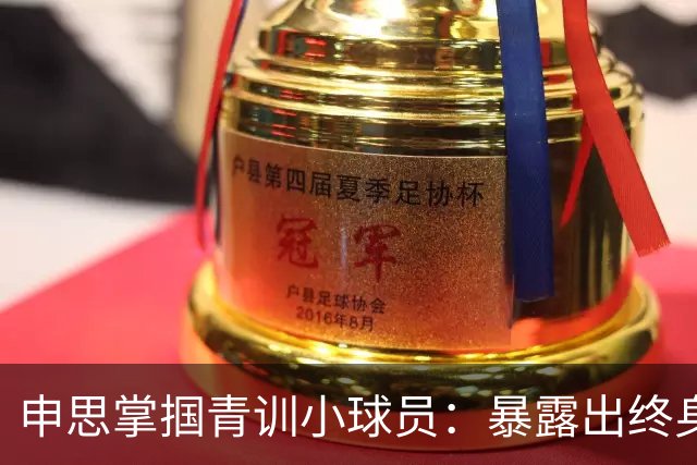 申思掌掴青训小球员：暴露出终身禁足令的监管空白丨中听