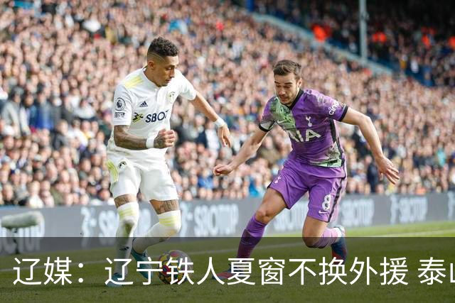 辽媒：辽宁铁人夏窗不换外援 泰山队内援战斗力在中超首屈一指