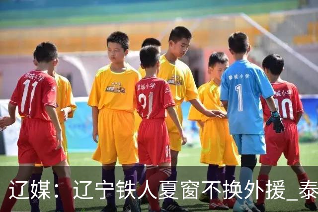 辽媒：辽宁铁人夏窗不换外援 泰山队内援战斗力在中超首屈一指